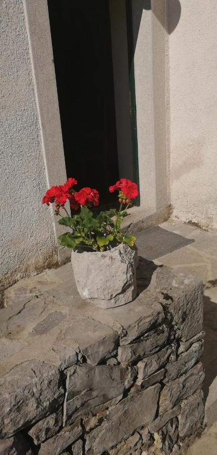 Hostel Skrla Divača Dış mekan fotoğraf